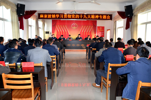 麻家渡镇：学习贯彻党的十九大精神确保实现全年目标