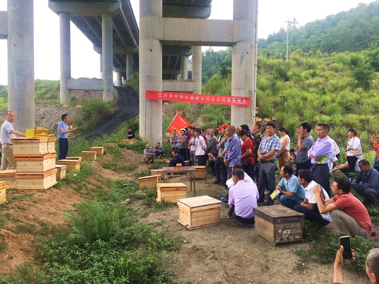 上庸镇九华村开展养蜂技术培训