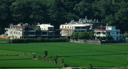 乡村振兴，人才先行——全国人大代表热议乡村振兴战略