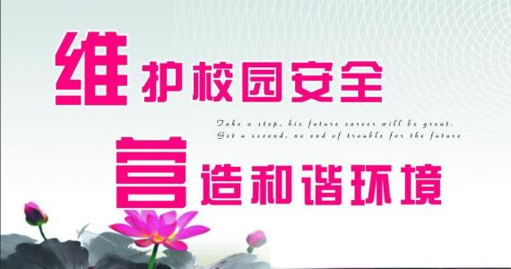 双台乡联合检查保校园安定