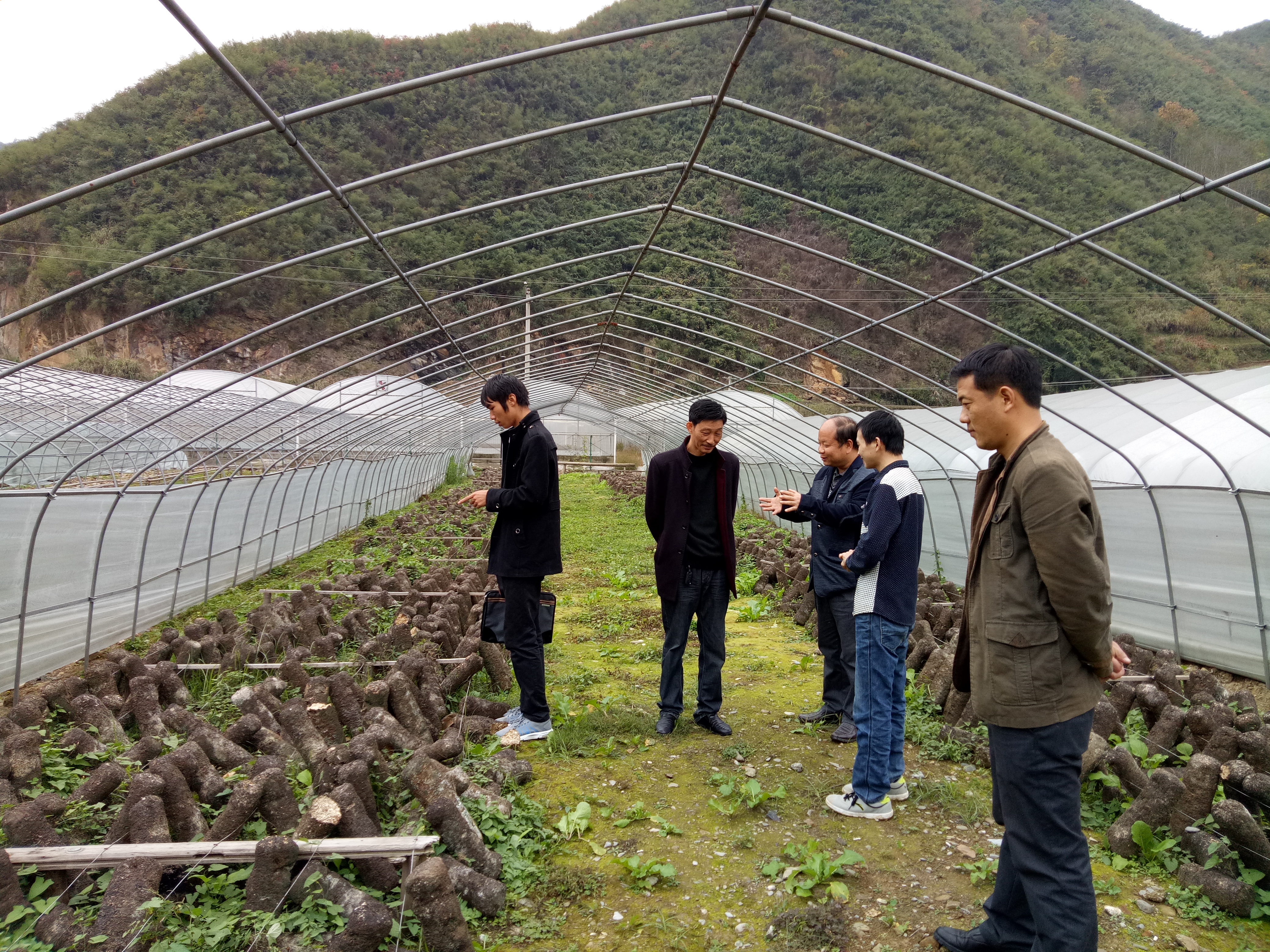 官渡镇组织镇村两级干部深入房县、十堰考察学习
