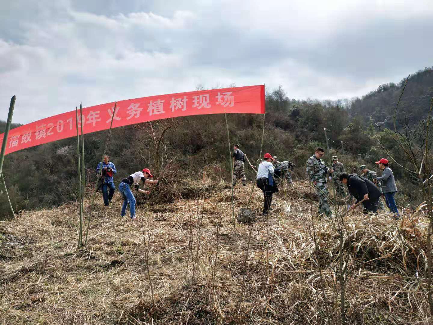 擂鼓镇开展义务植树活动