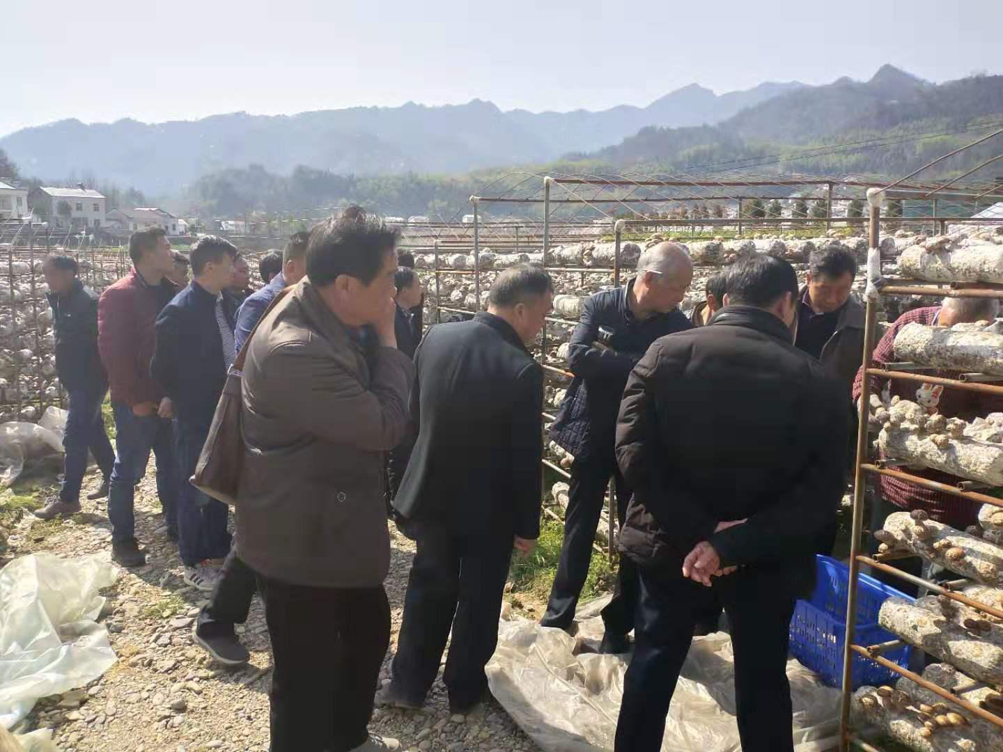 文峰乡：相互学习促发展