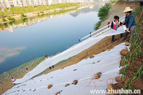 植草只为裸露山体穿绿装