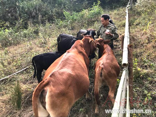 靠山养殖有“钱途”