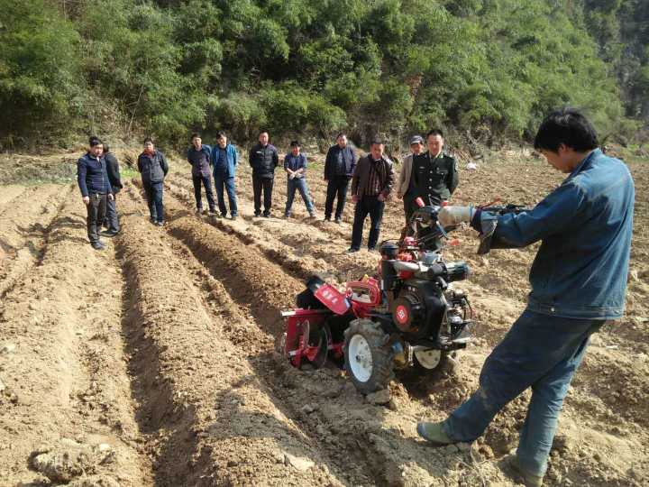 官渡镇：烟地开沟起垄早