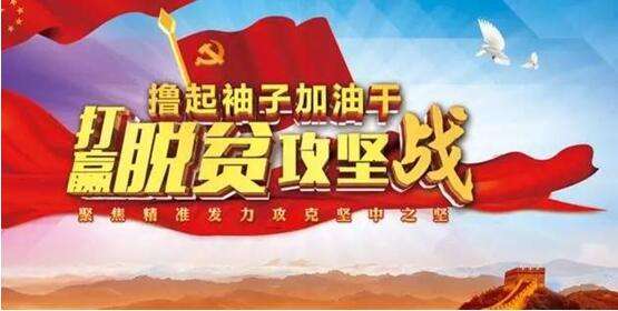 秦古镇：抓实脱贫攻坚问题整改 