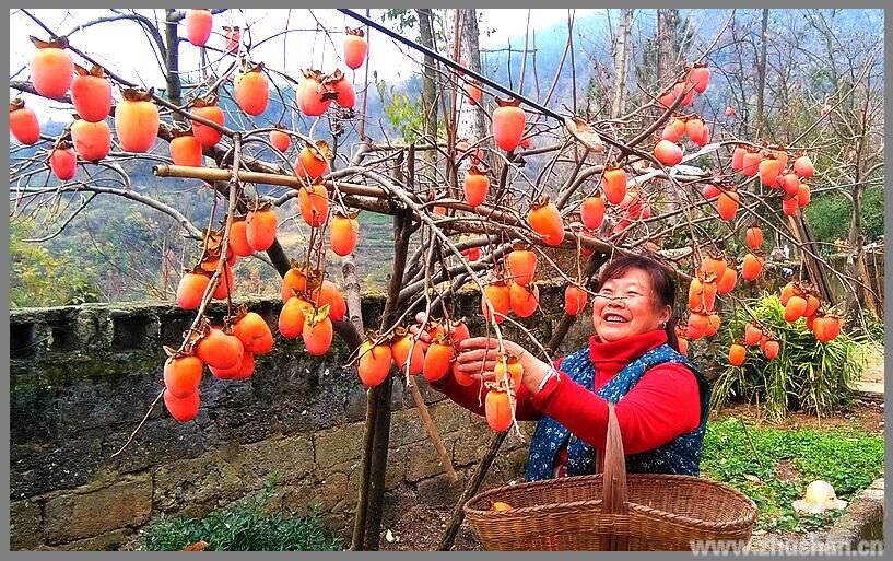 发展种植养殖业年收入达到小康水平