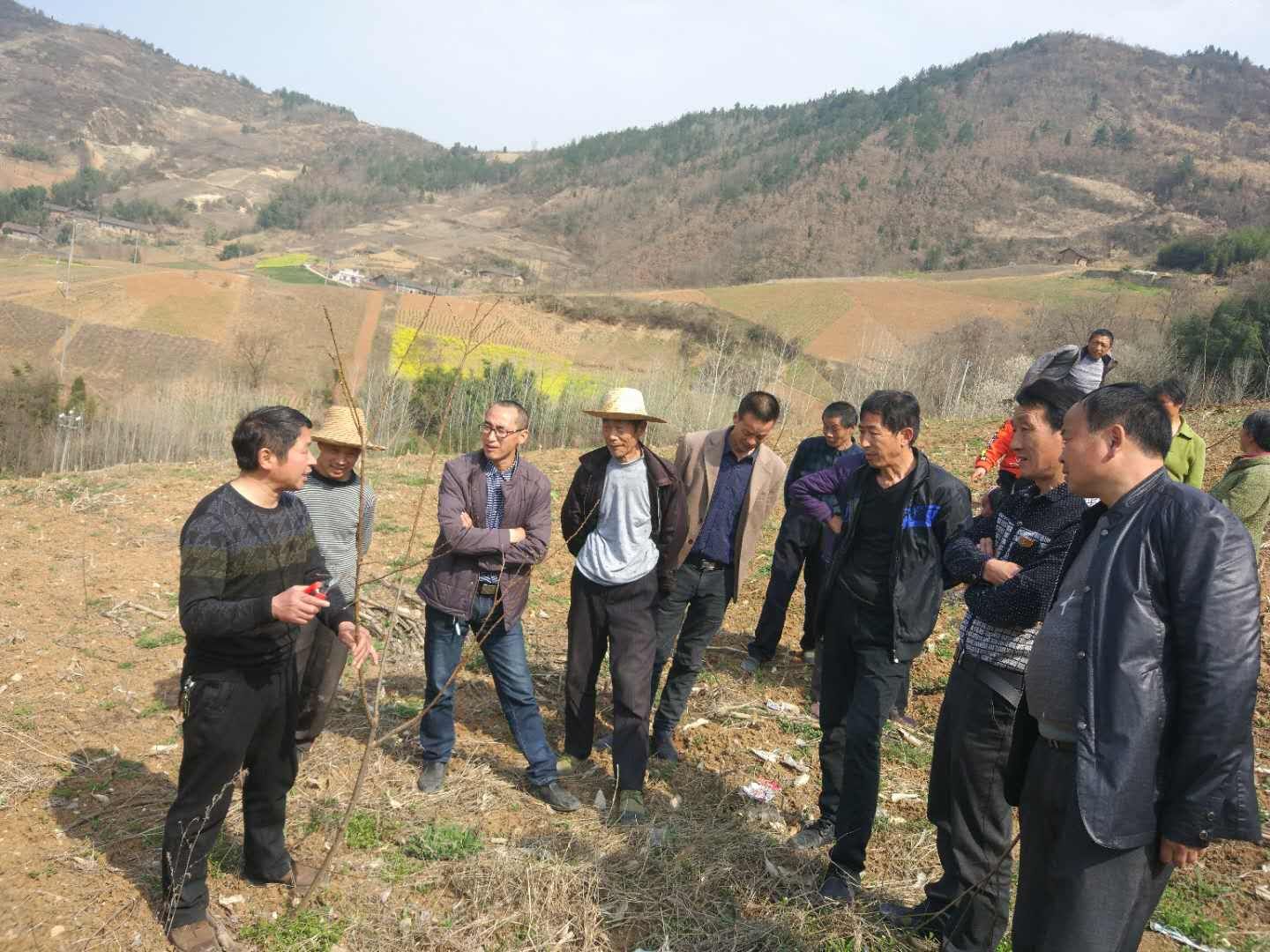 文峰乡：搞好产业管护 助推精准脱贫