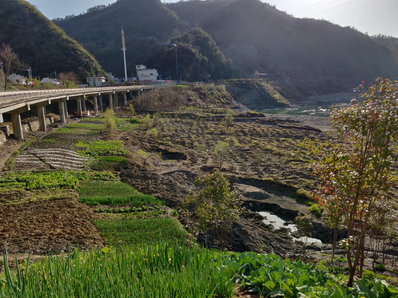 文峰乡植树添绿美家园