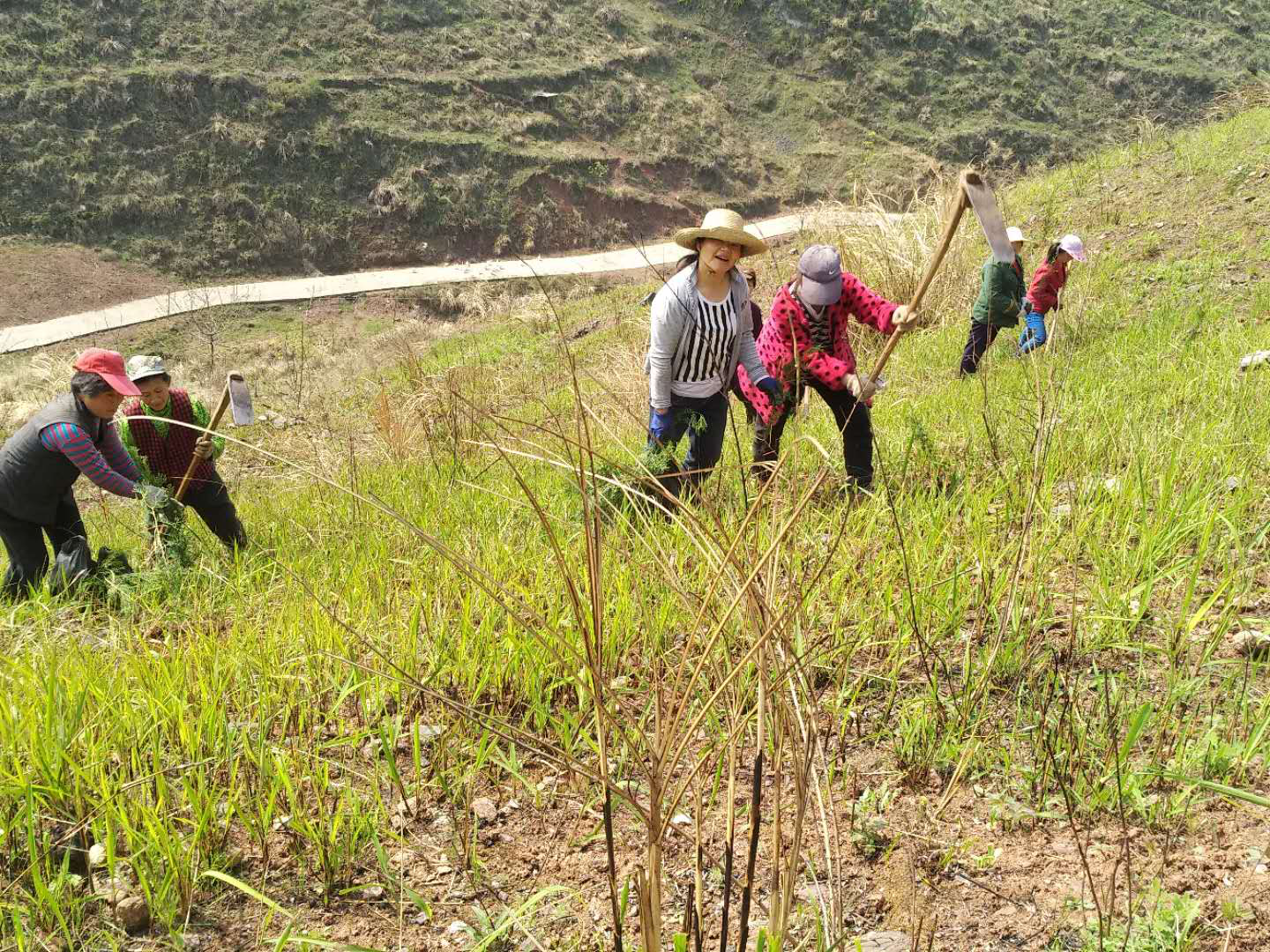 擂鼓镇筑牢绿色生态墙打响精准灭荒攻坚首战