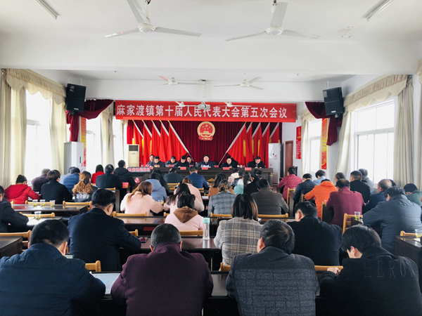  麻家渡镇召开第十届人民代表大会第五次会议