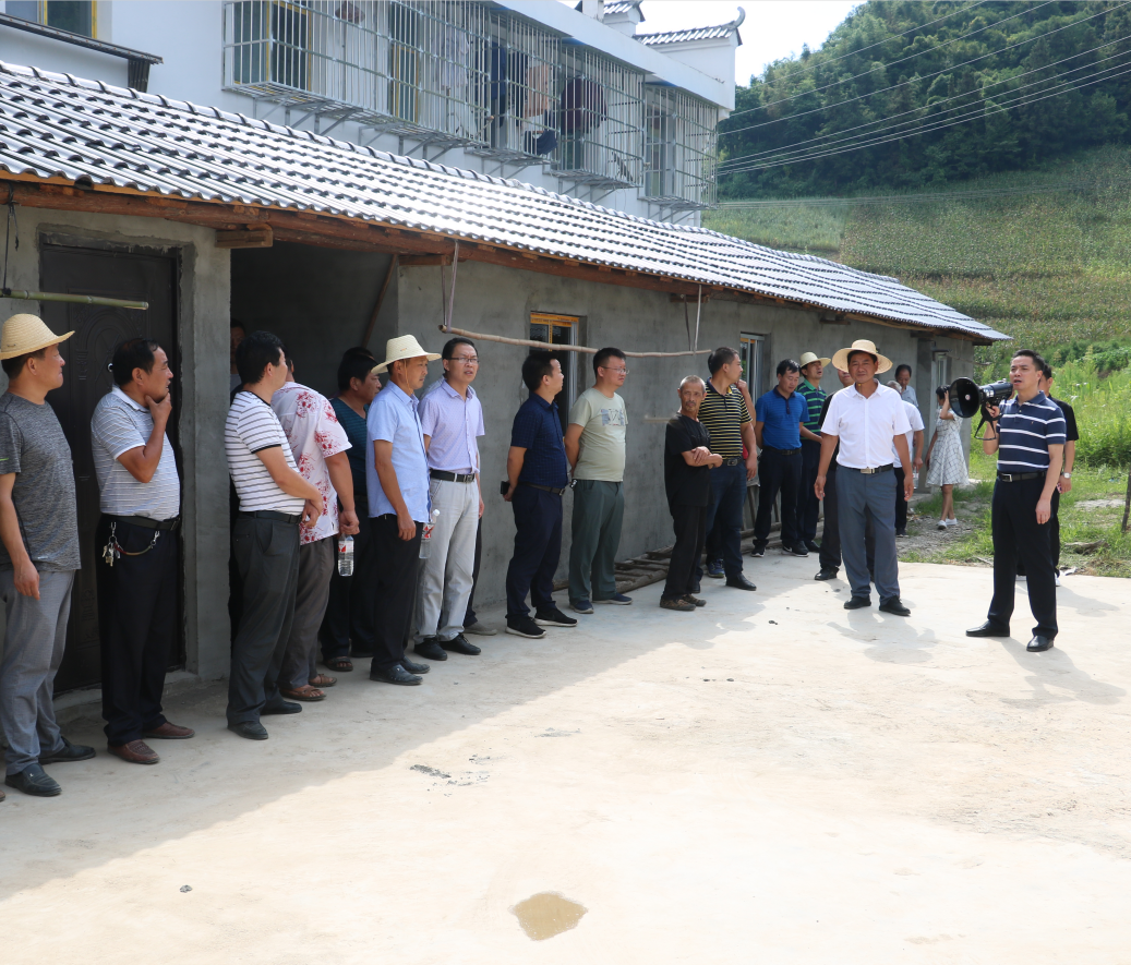 深河乡：强弱项持续发力 补短板久久为功