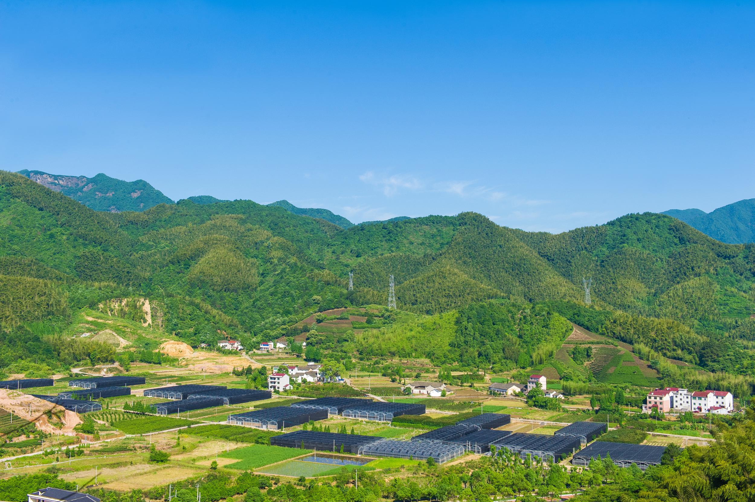 写在今日竹山网创建十五岁