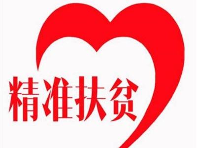 太河村扶贫日记