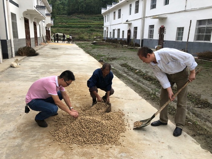 縣糧食局：巡村訪戶，開展“十進十建活動”