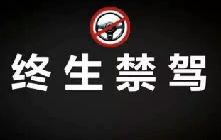 2017湖北交通安全白皮书发布 245人被终生禁驾