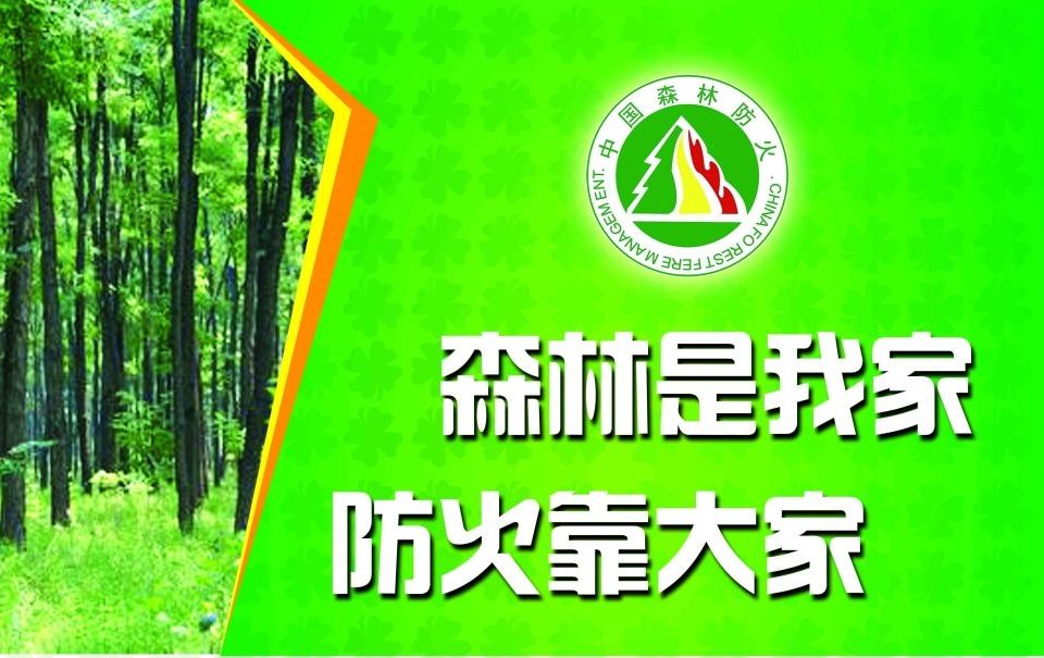 竹坪乡：清明节森林防火宣传氛围浓