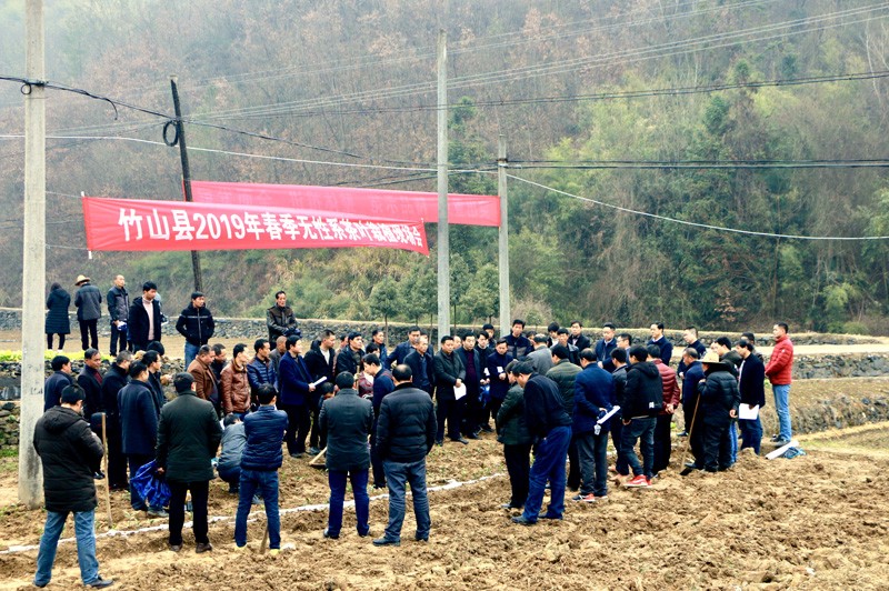 麻家渡镇：脱贫路上茶香飘  　 