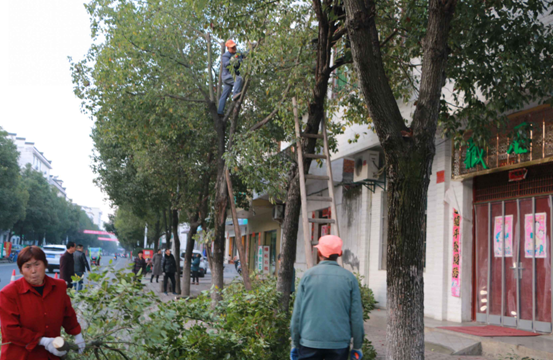 麻家渡镇：多措并举促创文