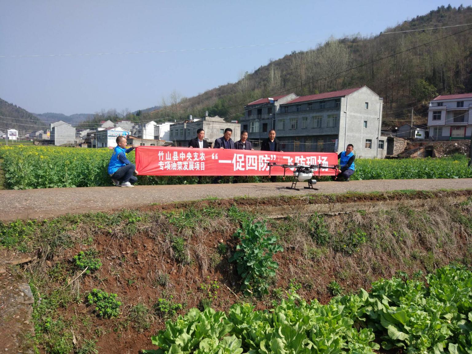 擂鼓镇：开启油菜“飞防”模式