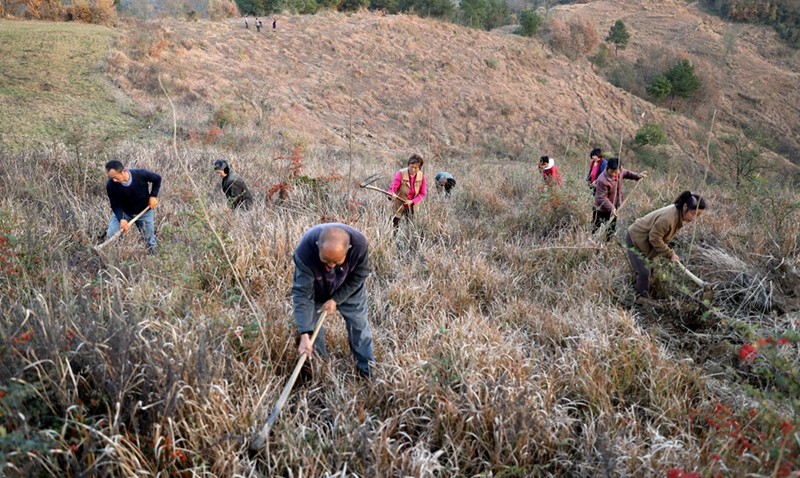 潘口乡：掀起“灭荒”造林热潮