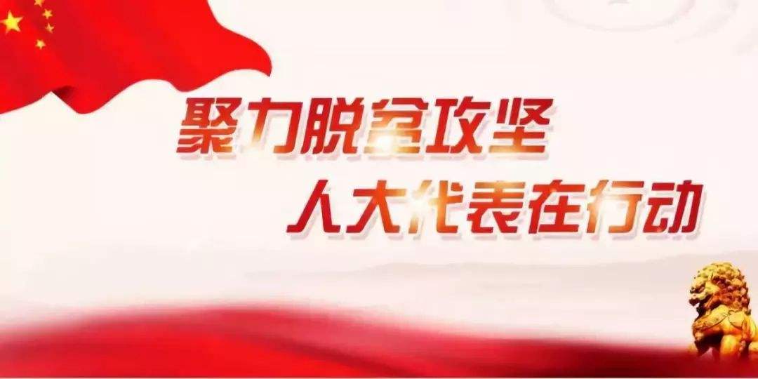 双台乡扎实开展“聚力脱贫攻坚 人大代表在行动”活动