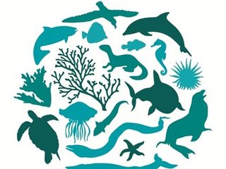 保护生物多样性的“诺亚方舟”——走进斯瓦尔巴全球种子库