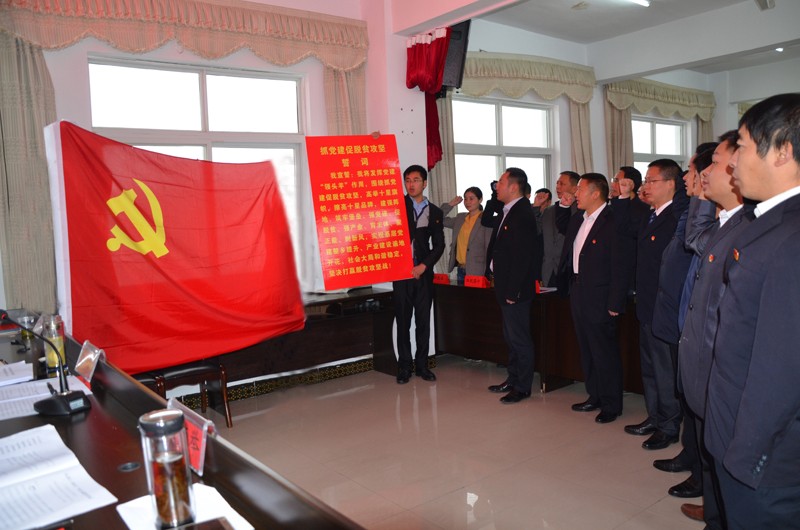 麻家渡镇：抓党建促脱贫誓为党旗增辉