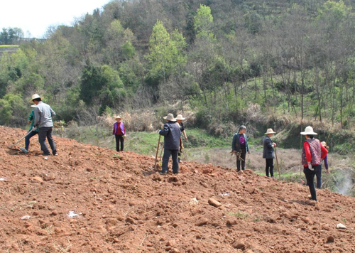 溢水镇：把科技“撒”向乡村