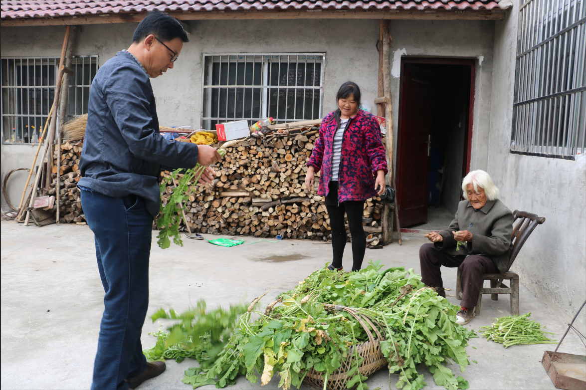 张显文：扶贫路上的19732公里