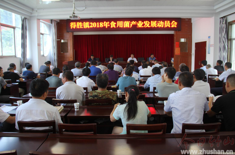 得胜镇：召开食用菌产业发展动员会