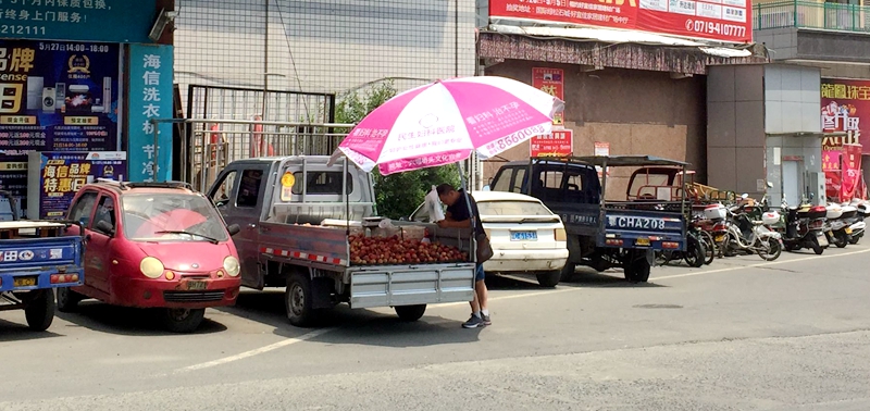 人民路大桥头水果摊和三轮车“结伴”占道
