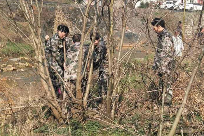 得胜镇：民兵植树显风采