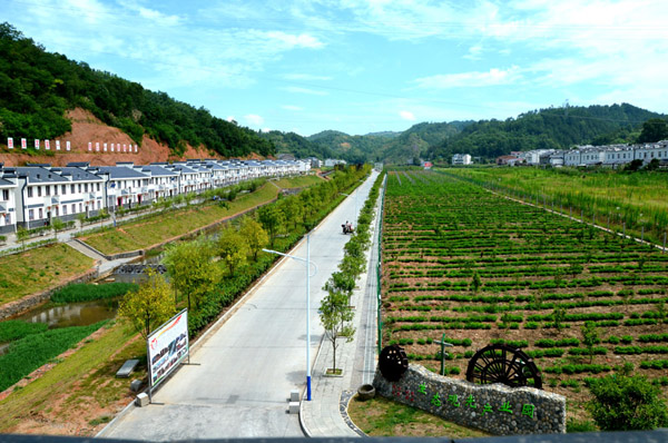 溢水镇：扎实推进土地增减挂钩工作