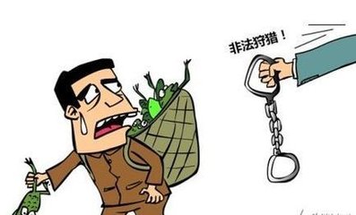 竹山百里河村一农民非法狩猎套伤耕牛