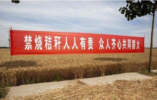 麻家渡镇：全力做好秸秆禁烧工作