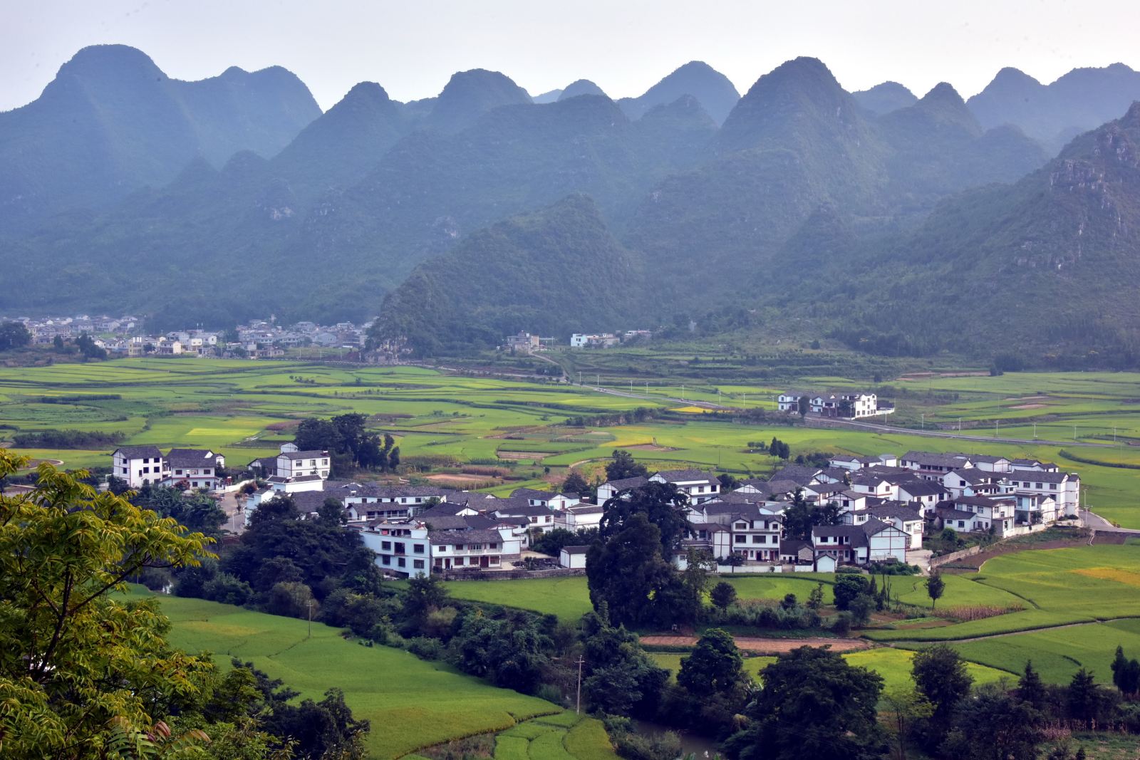 结缘今日竹山