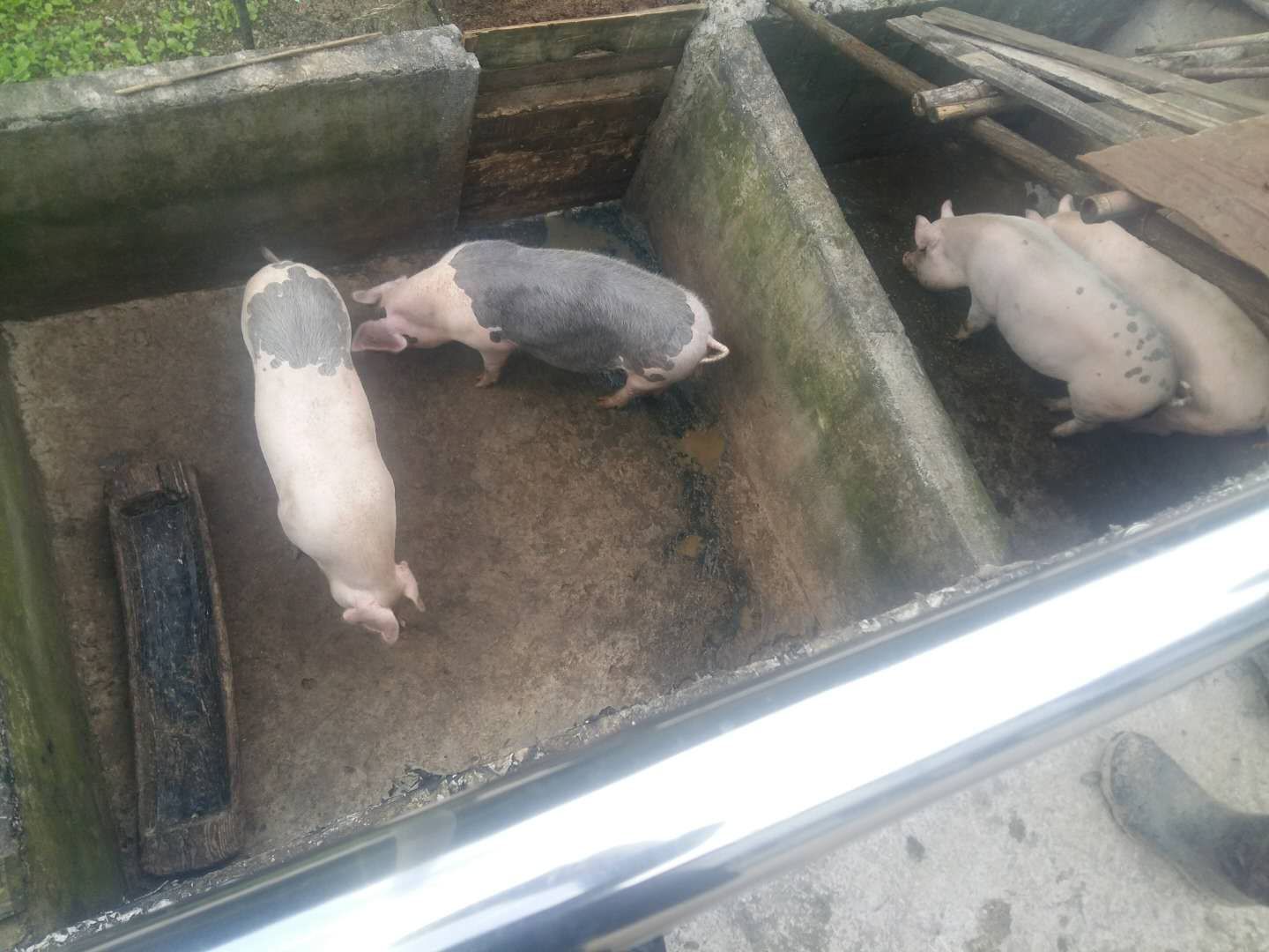 柳林乡：扎实开展种养殖业验收