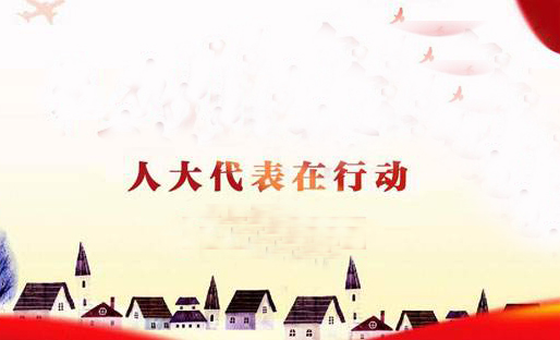 溢水镇：代表走访办实事 群众生活挂于心