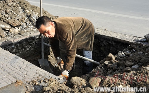 竹山城区道路绿化改造工程顺利推进