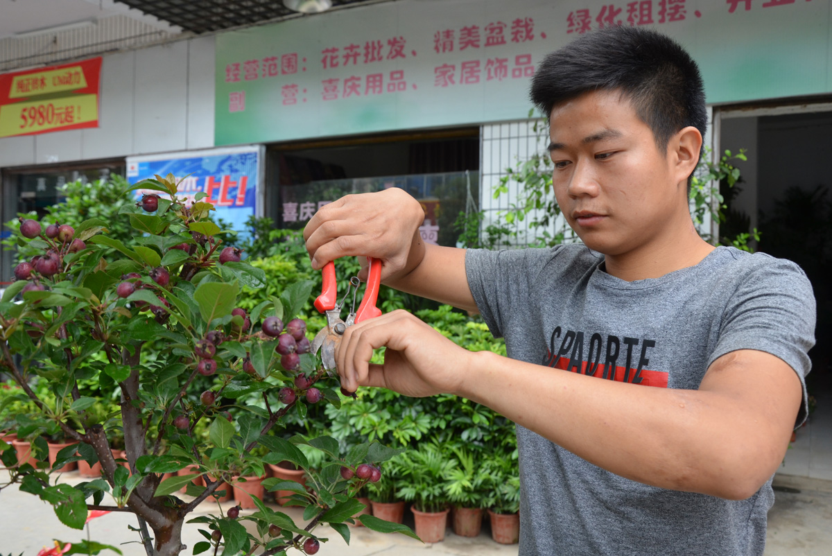 花香飘溢脱贫路