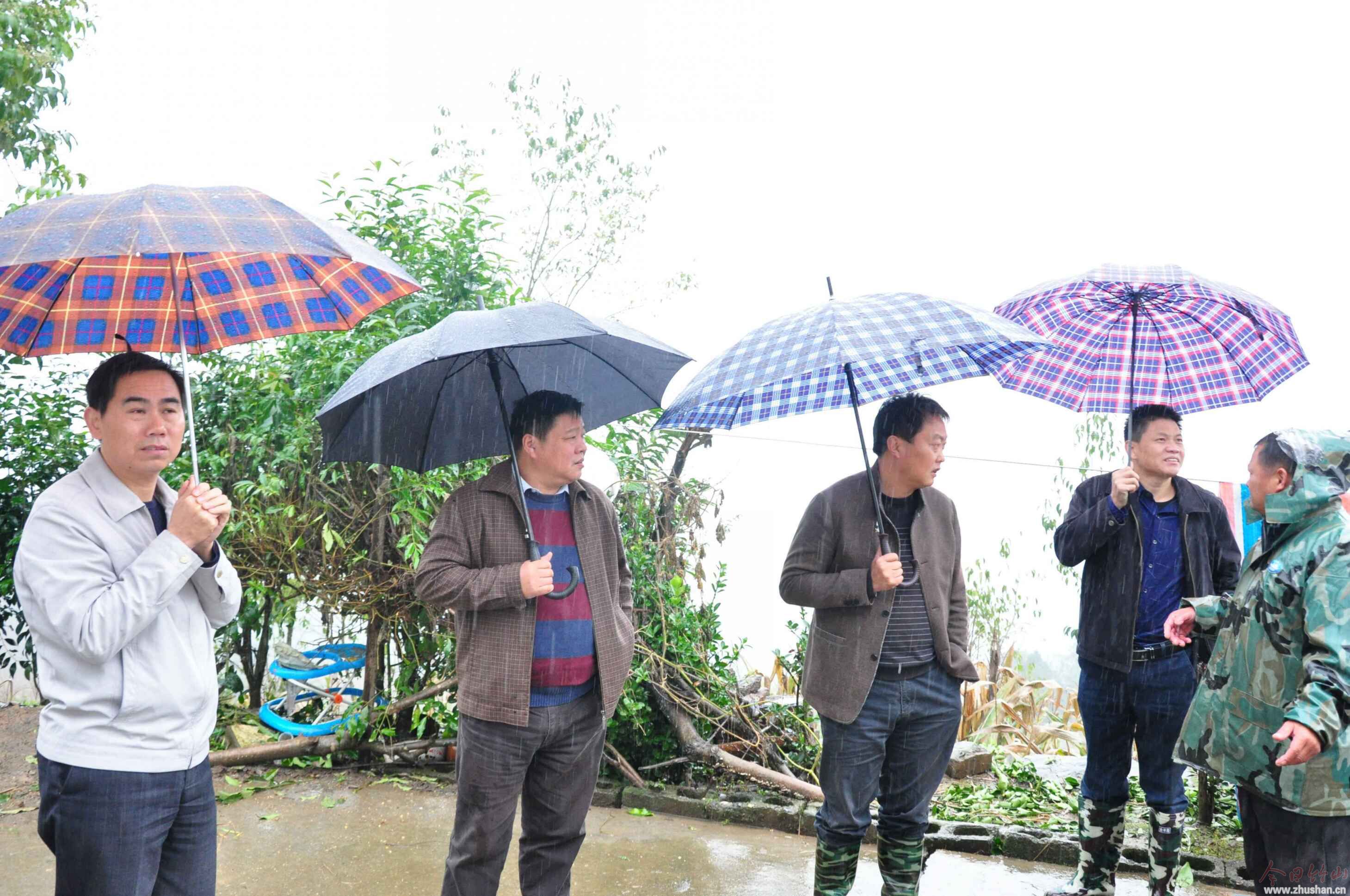 市督导组来官渡镇督导检查当前重点工作