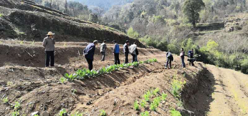 深河乡麻线村脱贫崛起“有实招”