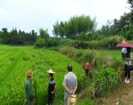 秦古镇以铁的纪律护航巡村访户