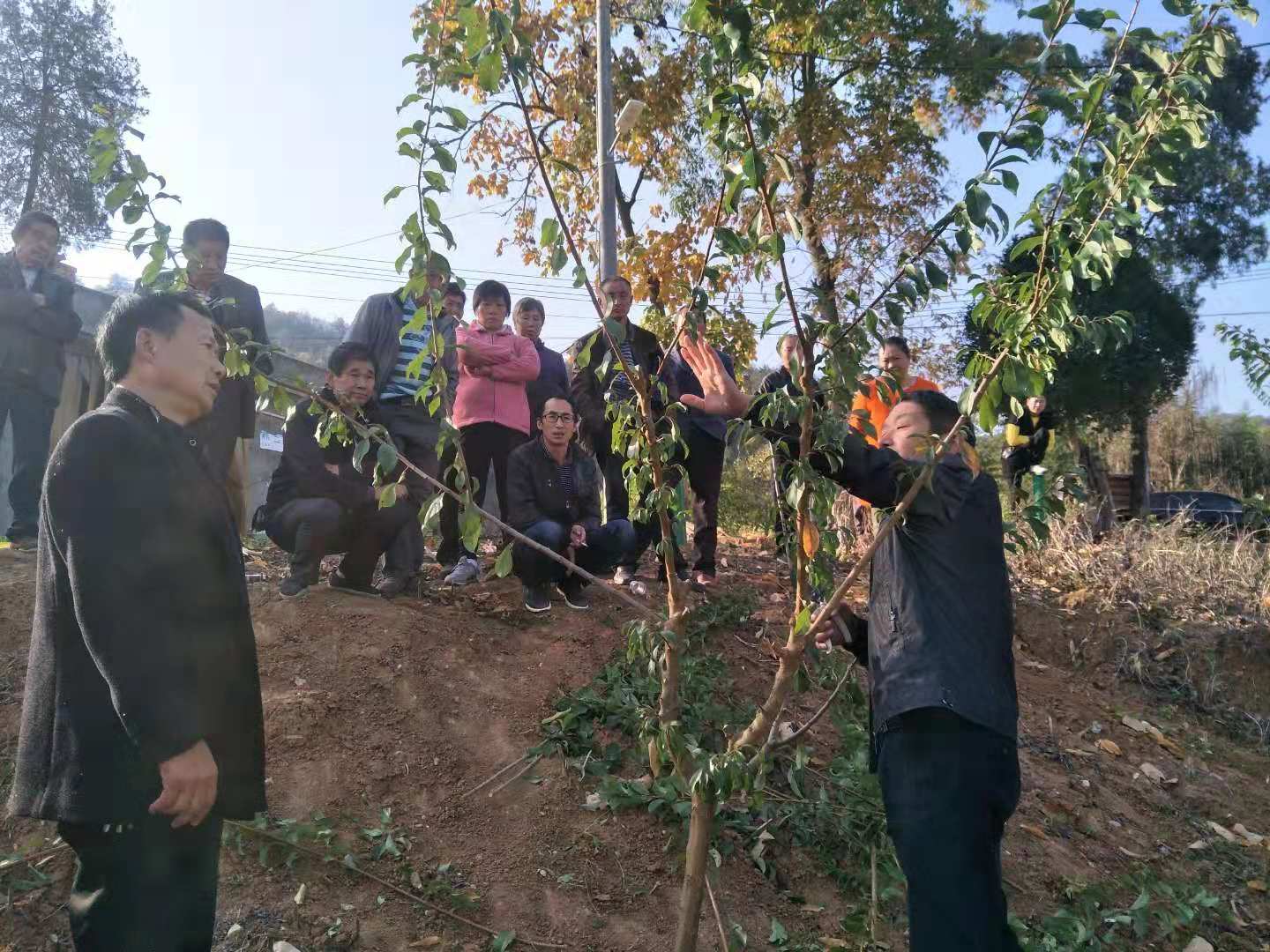 文峰乡：致富技能送地头　未雨绸缪解民忧
