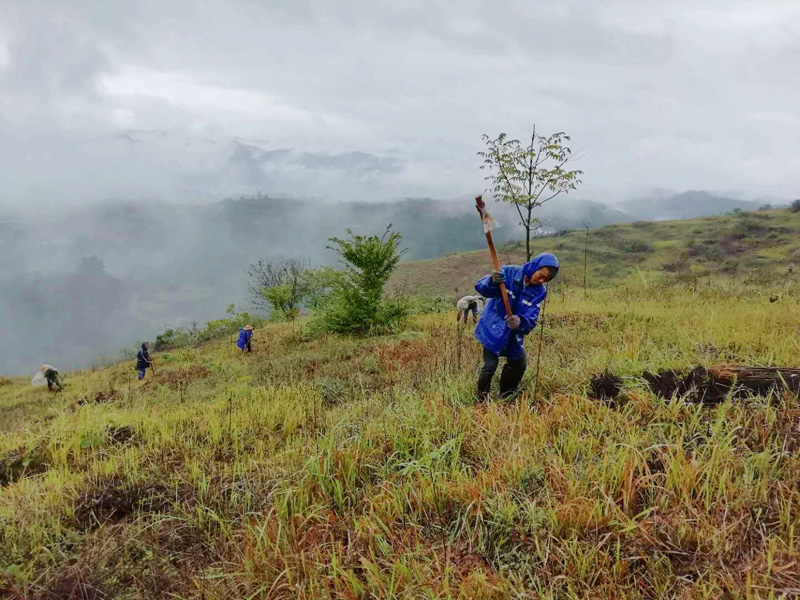 溢水镇：啃下“精准灭荒”硬骨头