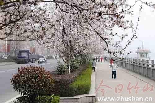 竹山党的群众路线教育实践活动整改落实回眸