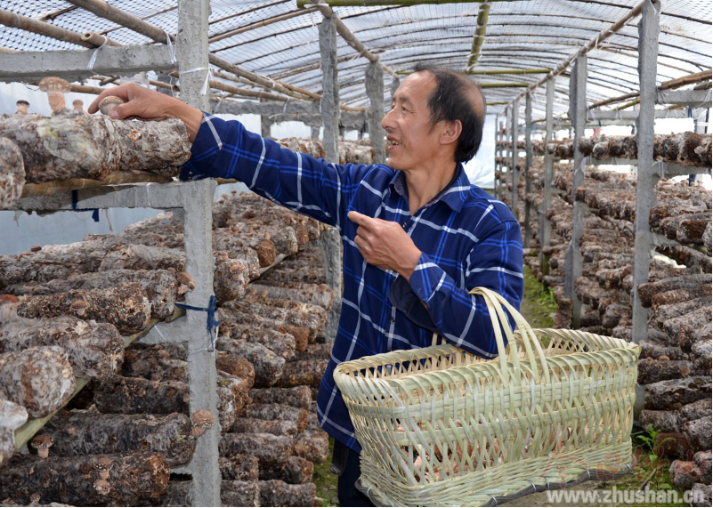 “王坚强”腿装木杵战贫穷