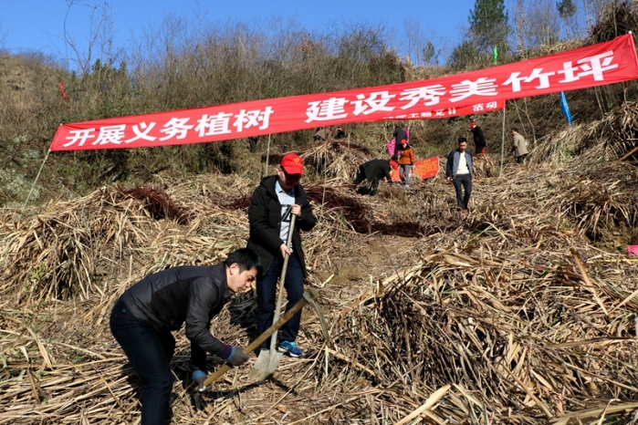 竹坪乡开展义务植树活动
